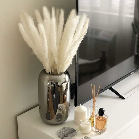  Erba Della Pampa, Erba Della Pampa Essiccata Naturalmente Deco Erba Della Pampa Phragmites Communis Bouquet Di Fiori Secchi Decorazione Per Soggiorno Fotografia Di Casa Hotel Matrimonio (Bianco)
