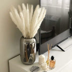 Erba Della Pampa, Erba Della Pampa Essiccata Naturalmente Deco Erba Della Pampa Phragmites Communis Bouquet Di Fiori Secchi Decorazione Per Soggiorno Fotografia Di Casa Hotel Matrimonio (Bianco)