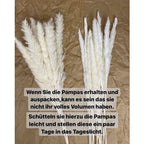  Erba Della Pampa, Erba Della Pampa Essiccata Naturalmente Deco Erba Della Pampa Phragmites Communis Bouquet Di Fiori Secchi Decorazione Per Soggiorno Fotografia Di Casa Hotel Matrimonio (Bianco)