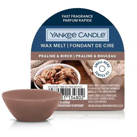  YANKEE CANDLE CERA DA FONDERE WAX MELT PRALINE & BIRCH