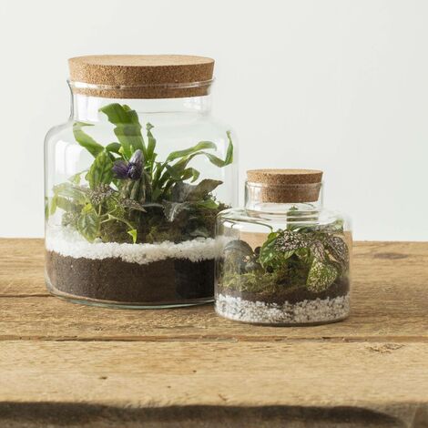  Terrario - H. 13 Cm - Atmosphera Créateur D'intérieur