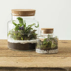  Terrario - H. 13 Cm - Atmosphera Créateur D'intérieur